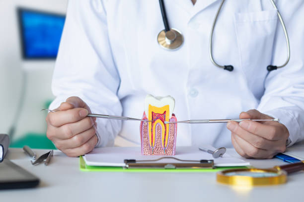 Best Emergency Wisdom Teeth Removal in Mountain Home, NC